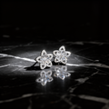 Blooming Radiance Diamond Earrings